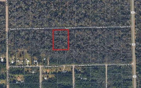 3767 3739 Apple Ave, Bunnell, FL 32110 photo 1