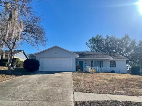36422 Birdie Ct, Grand Island, FL 32735