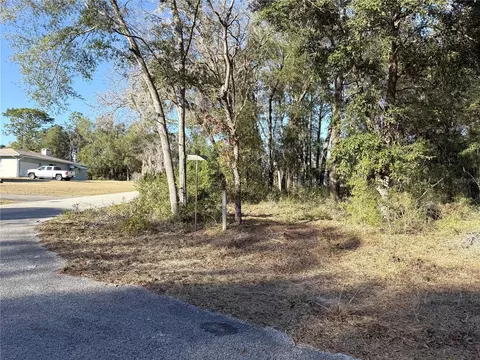 15331 NE 3rd Ln, Williston, FL 32696 photo 3