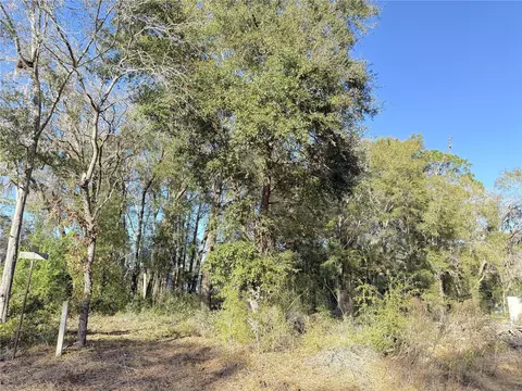 15331 NE 3rd Ln, Williston, FL 32696 photo 5
