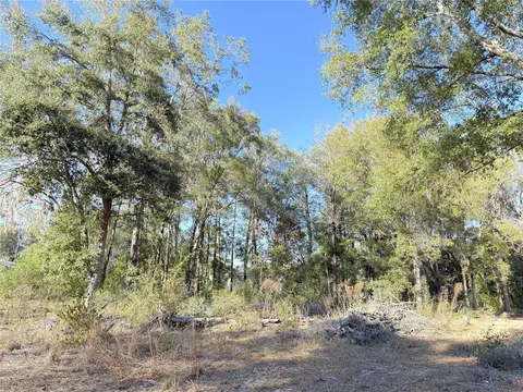 15331 NE 3rd Ln, Williston, FL 32696 photo 4