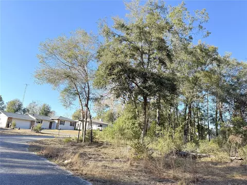 15331 NE 3rd Ln, Williston, FL 32696 photo 2