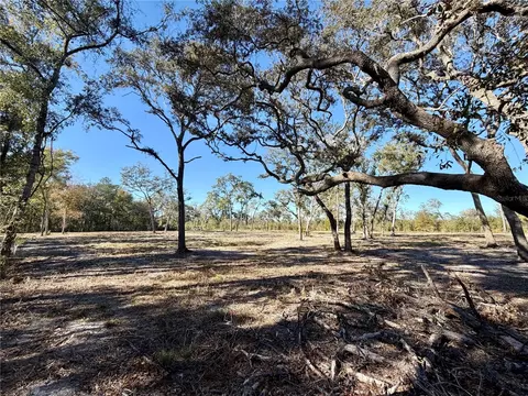 tbd NE 220 St, Fort Mc Coy, FL 32134