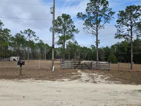 13391 NE 43rd Ln, Williston, FL 32696