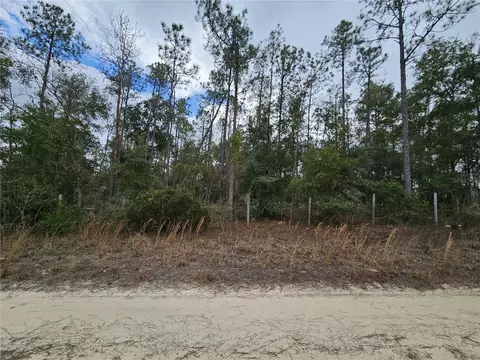 tbd NE 45th St, Williston, FL 32696 photo 2