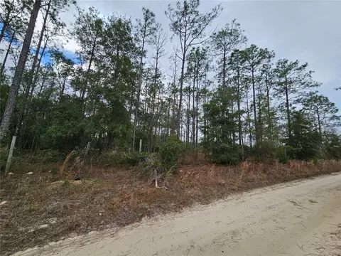 tbd NE 45th St, Williston, FL 32696