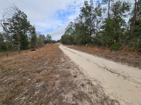 tbd NE 45th St, Williston, FL 32696 photo 4