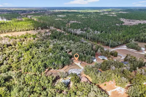View/Area - 30 Deer Trail Cir, Bronson, FL 32621 photo 4 of 8