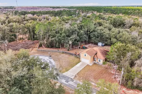 View/Area - 30 Deer Trail Cir, Bronson, FL 32621 photo 5 of 8
