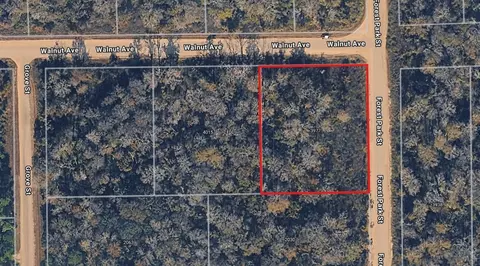 3977 Walnut Ave, Bunnell, FL 32110 photo 1