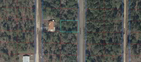 tbd NE 150 Ave, Williston, FL 32696