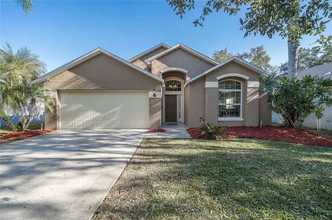 18953 Wood Sage Dr, Tampa, FL 33647