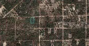 tbd NE 90th St, Bronson, FL 32621