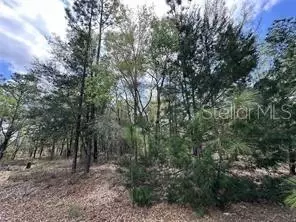 tbd NE 12th Ln, Williston, FL 32696
