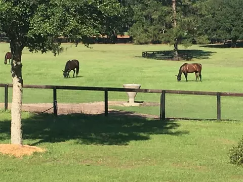 Other - 9549 NW 80th Ave, Ocala, FL 34482 photo 3 of 17