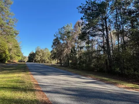 tbd NW 148 Ln, Williston, FL 32696 photo 3