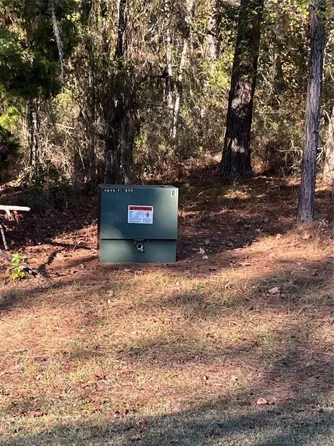 tbd NW 148 Ln, Williston, FL 32696 photo 6