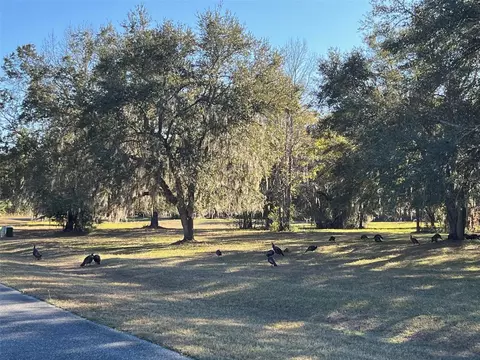 tbd NW 148 Ln, Williston, FL 32696 photo 5