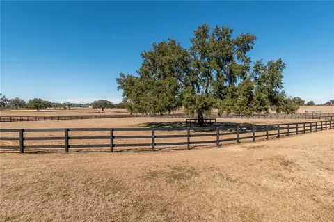 Exterior - 12610 NW Gainesville Rd, Reddick, FL 32686 photo 13 of 15