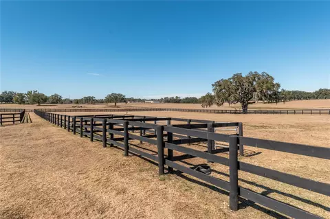 Other - 12610 NW Gainesville Rd, Reddick, FL 32686 photo 16 of 29