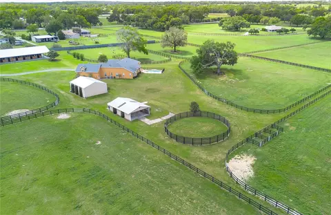 View/Area - 12610 NW Gainesville Rd, Reddick, FL 32686 photo 10 of 15