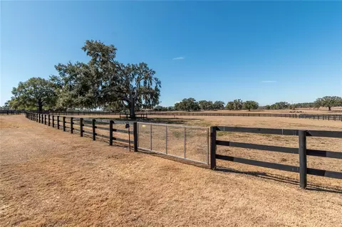 Other - 12610 NW Gainesville Rd, Reddick, FL 32686 photo 15 of 29