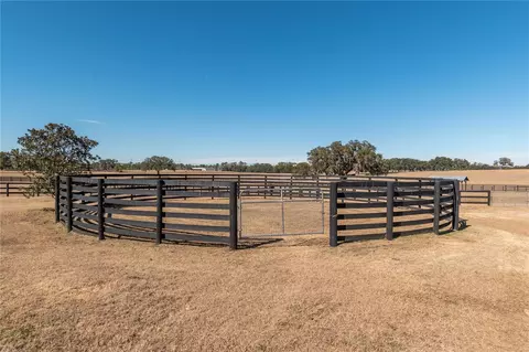 Other - 12610 NW Gainesville Rd, Reddick, FL 32686 photo 17 of 29