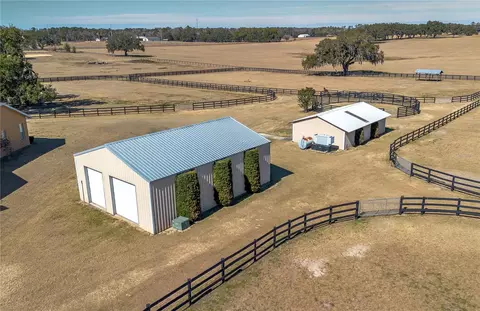 View/Area - 12610 NW Gainesville Rd, Reddick, FL 32686 photo 12 of 15