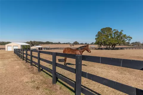 Other - 12610 NW Gainesville Rd, Reddick, FL 32686 photo 20 of 29