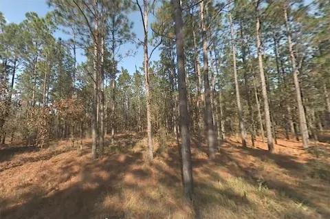 00 SW 39th St, Dunnellon, FL 34432