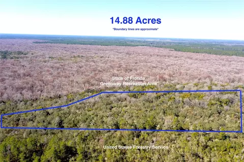 tbd NE 170th Avenue Rd, Fort Mc Coy, FL 32134