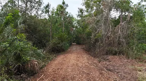Pantera Ln, Naples, FL 34120 photo 6