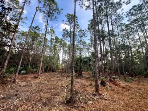 Pantera Ln, Naples, FL 34120