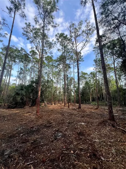 Pantera Ln, Naples, FL 34120 photo 45