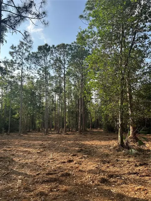 Pantera Ln, Naples, FL 34120 photo 27