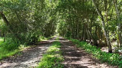 Pantera Ln, Naples, FL 34120 photo 4