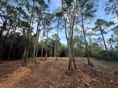 Pantera Ln, Naples, FL 34120 photo 31
