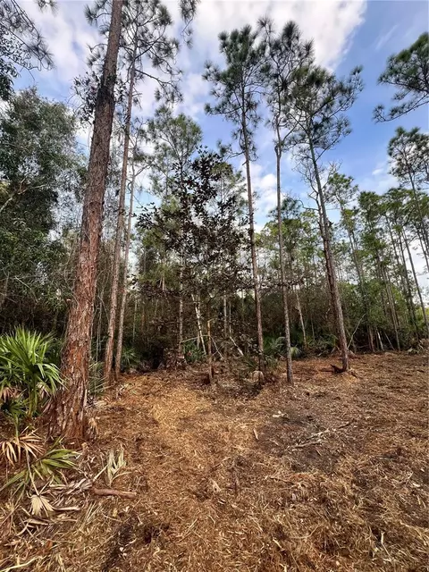 Pantera Ln, Naples, FL 34120 photo 43