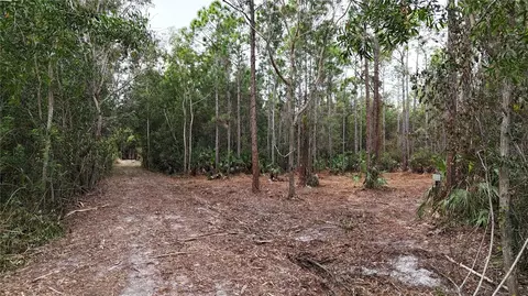 Pantera Ln, Naples, FL 34120 photo 7