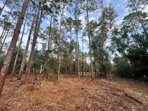 Pantera Ln, Naples, FL 34120 photo 46