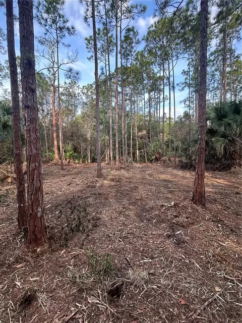 Pantera Ln, Naples, FL 34120 photo 20