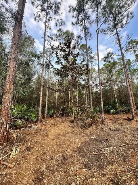 Pantera Ln, Naples, FL 34120 photo 44