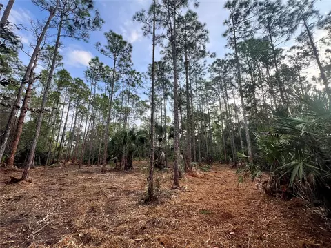 Pantera Ln, Naples, FL 34120 photo 2