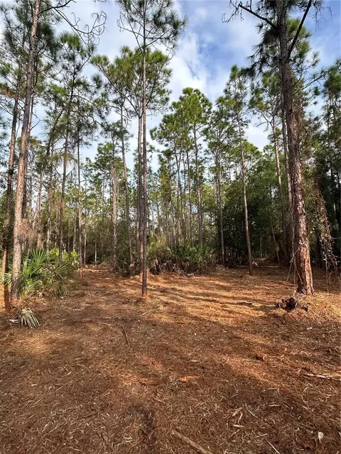 Pantera Ln, Naples, FL 34120 photo 25
