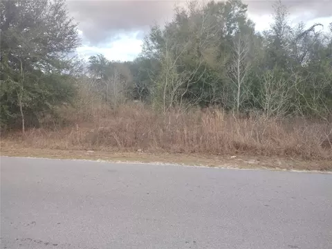 lot S 43 44 45 Nw 55th Ave, Ocala, FL 34482