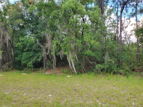 8650 SW 138 Ln, Ocala, FL 34473