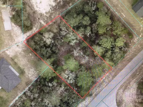 SW 55 Avenue Road, Ocala, FL 34473