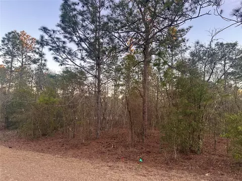 0000 SW 130th Ter, Dunnellon, FL 34434