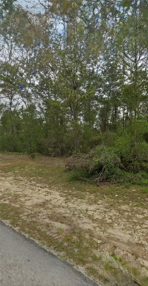 tbd SW 44th Cir, Ocala, FL 34473