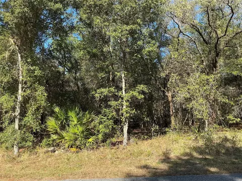 2039 E Newhaven St, Inverness, FL 34453